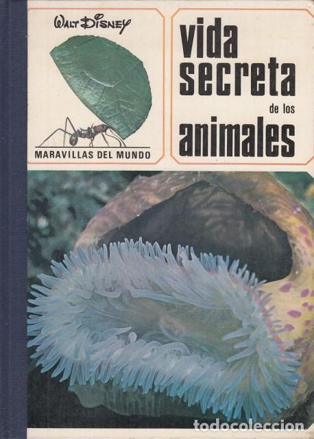 Libros: VIDA SECRETA DE LOS ANIMALES - WALT DISNEY - Foto 1