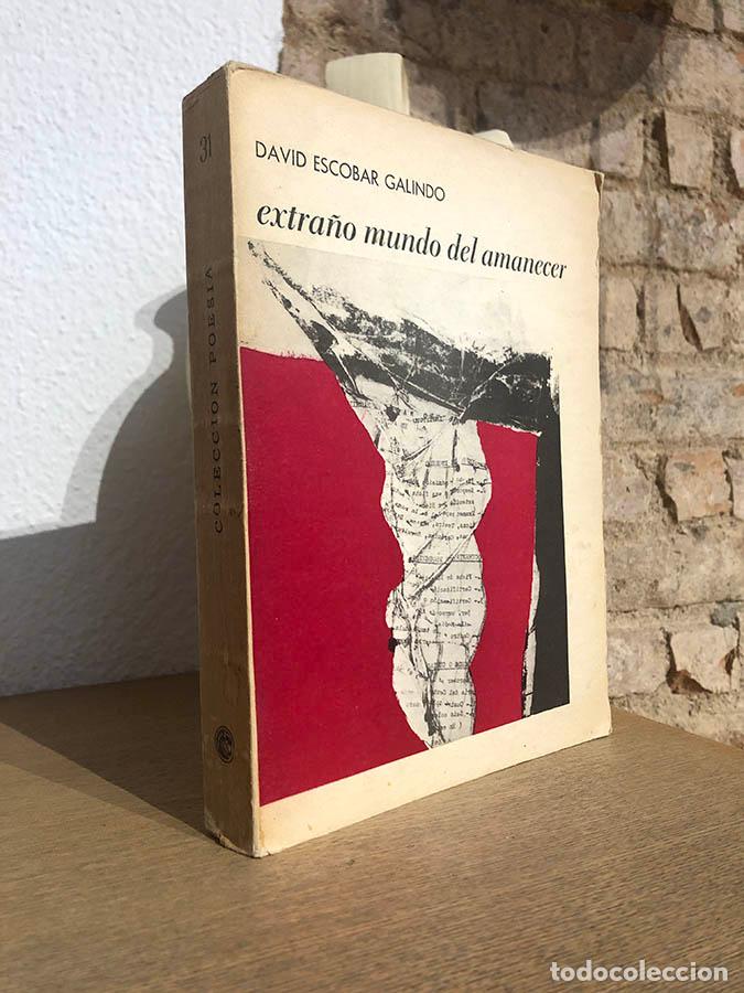 Libros: Extra&ntilde;o mundo del amanecer. - ESCOBAR GALINDO, David. - Foto 1
