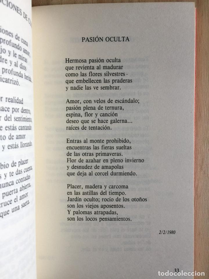 Libros: Himno al amor - Francisca Hern&aacute;ndez - Foto 3