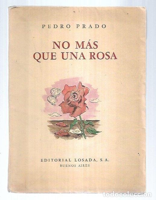 Libros: NO MAS QUE UNA ROSA - PRADO, PEDRO - Foto 1