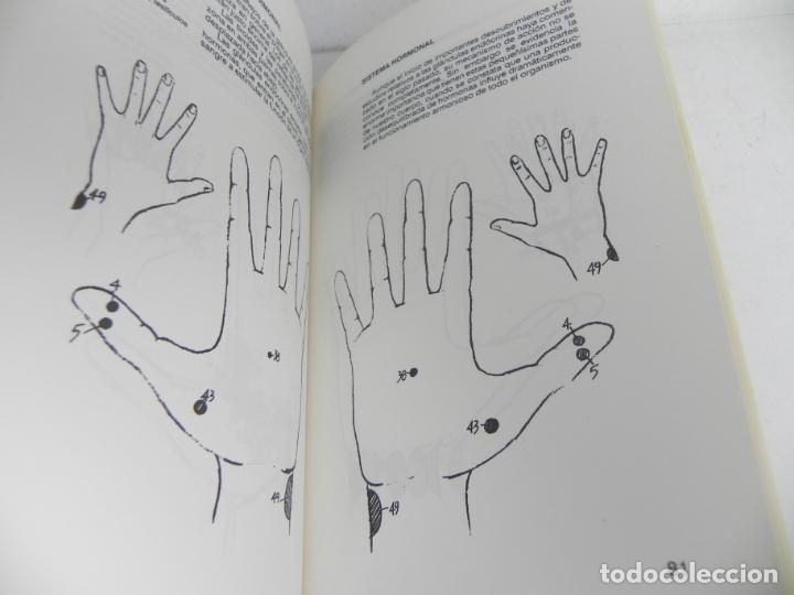 Libros: MASAJE ZONAL DE LA MANO (CLARA BIANCA EREDE) EDIT. IBIS-1989 - Foto 3