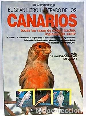 Libros: EL GRAN LIBRO ILUSTRADO DE LOS CANARIOS - Brunelli,Riccardo - Foto 1