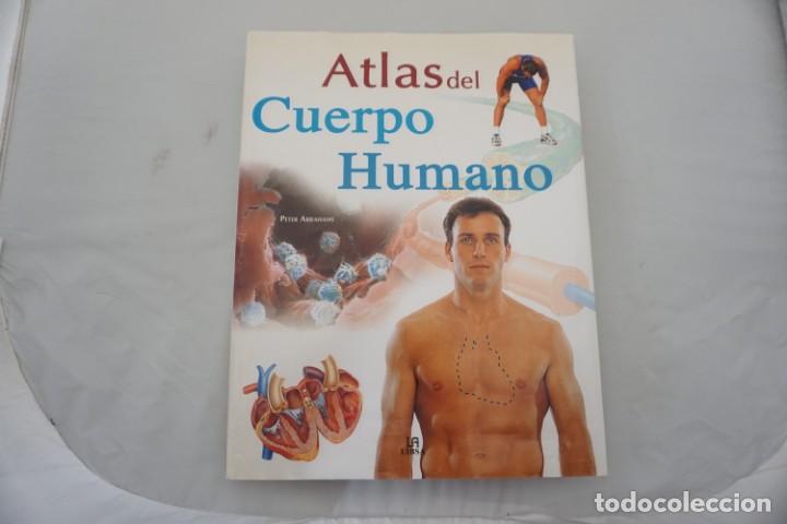 Libros: 2G - ATLAS DEL CUERPO HUMANO - PETER ABRAHAMS / LIBSA - Foto 1
