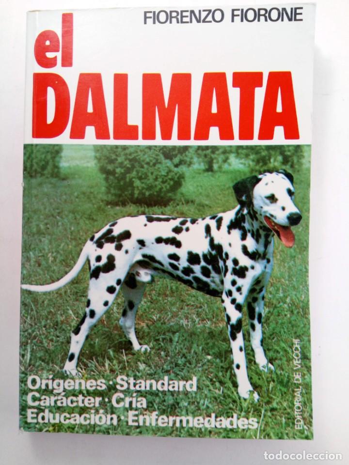 Libros: EL D&Aacute;LMATA - FIORENZO FIORONE - Foto 1
