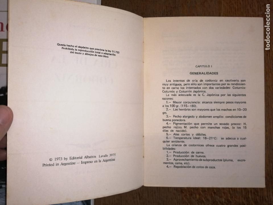 Libros: CR&Iacute;A DE LA CODORNIZ. E. BISSONI. - Foto 3