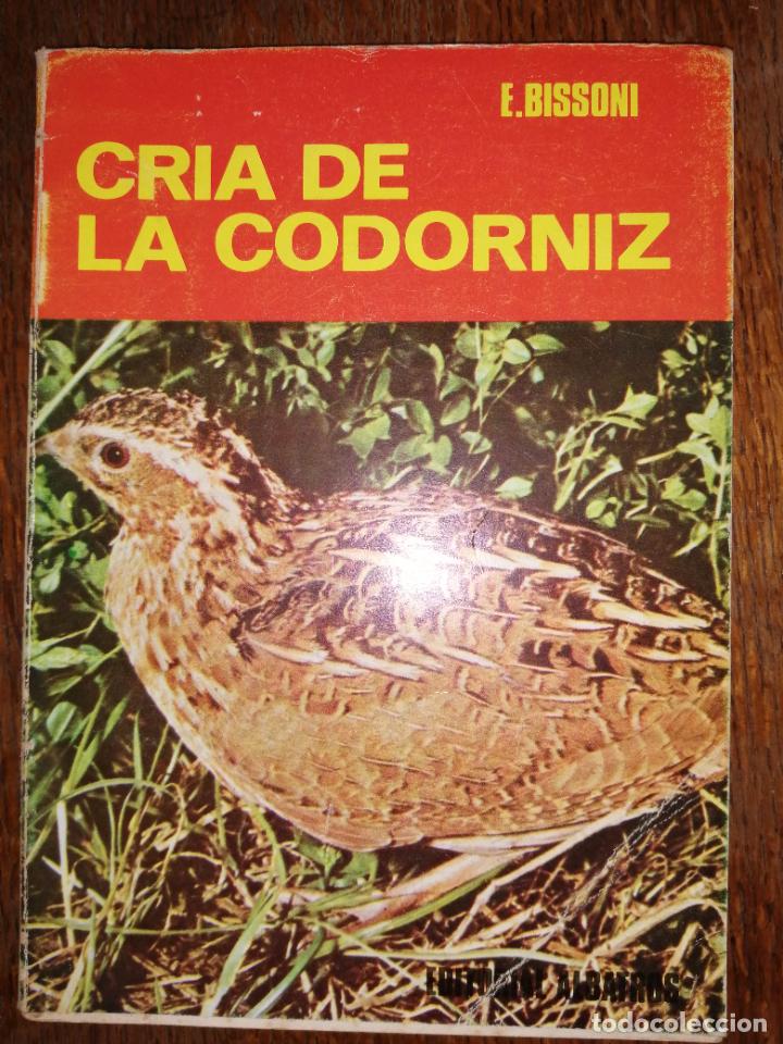 Libros: CR&Iacute;A DE LA CODORNIZ. E. BISSONI. - Foto 1