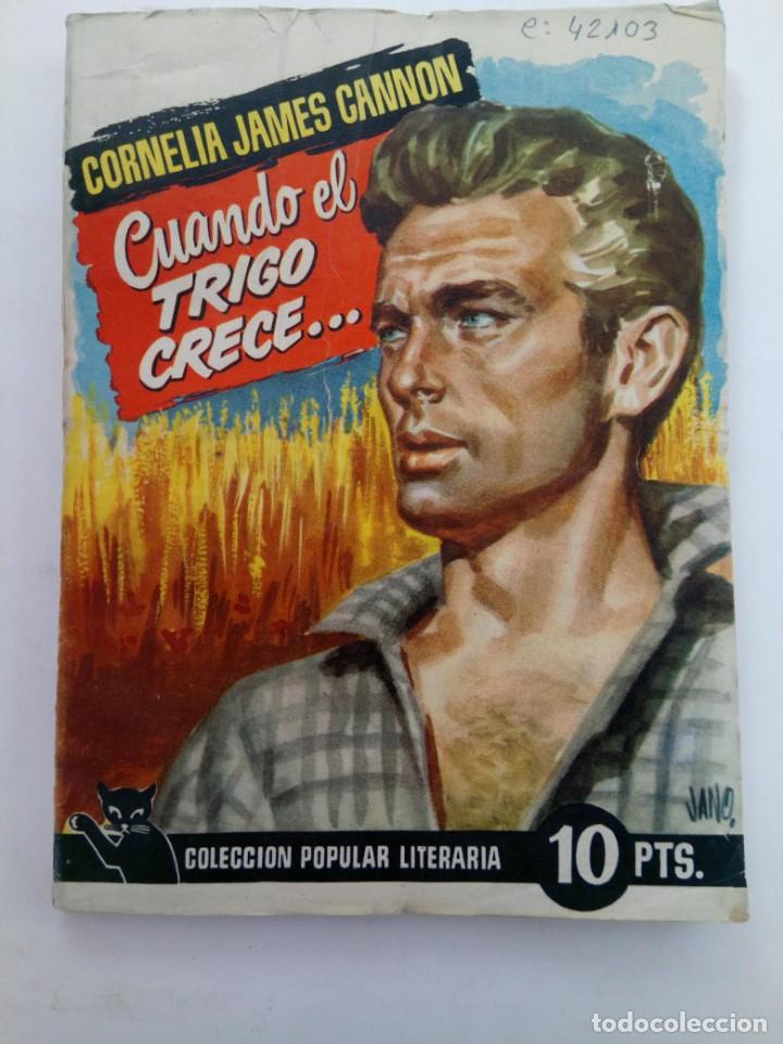 Libros: Cornelia James Cannon - Cuando el trigo crece - Foto 1