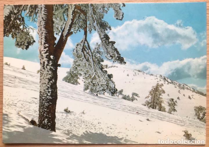 Libros: TARJETA POSTAL DEL PUERTO DE NAVACERRADA, 8. Paisaje Nevado - Foto 1