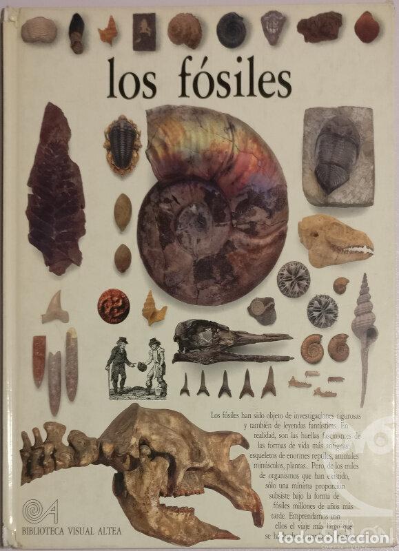 Libros: Los f&oacute;siles - Paul D. Taylor - Foto 1