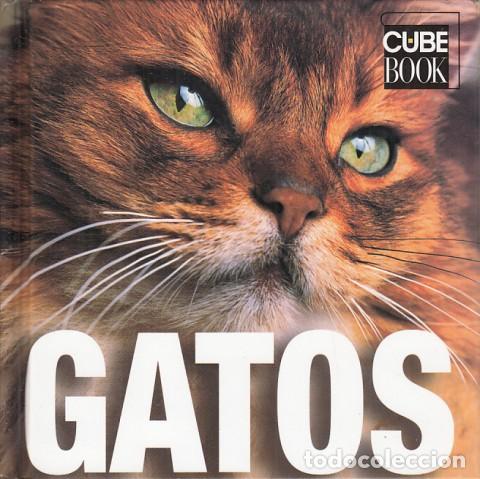 Libros: GATOS - EDICIONES LU (EDITA) - Foto 1