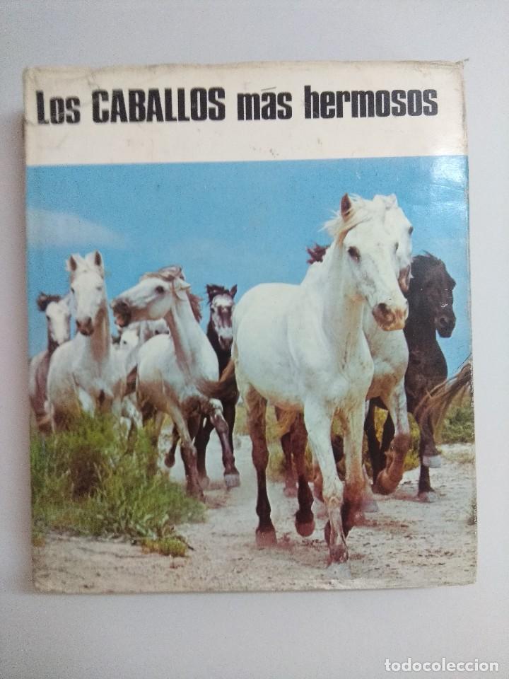 Libros: LIBRO/LOS CABALLOS MAS HERMOSOS. - Foto 1
