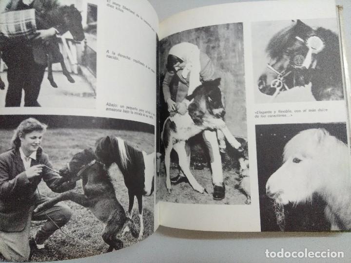 Libros: LIBRO/LOS CABALLOS MAS HERMOSOS. - Foto 5