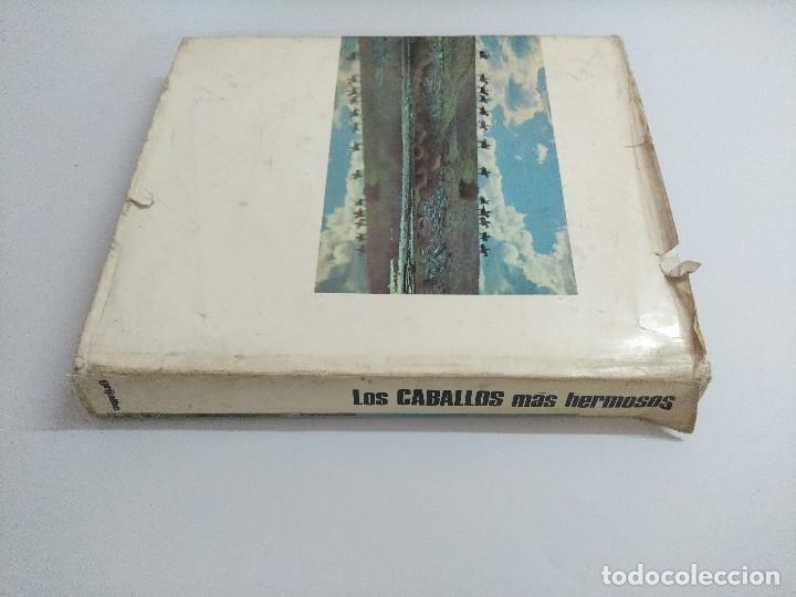 Libros: LIBRO/LOS CABALLOS MAS HERMOSOS. - Foto 6