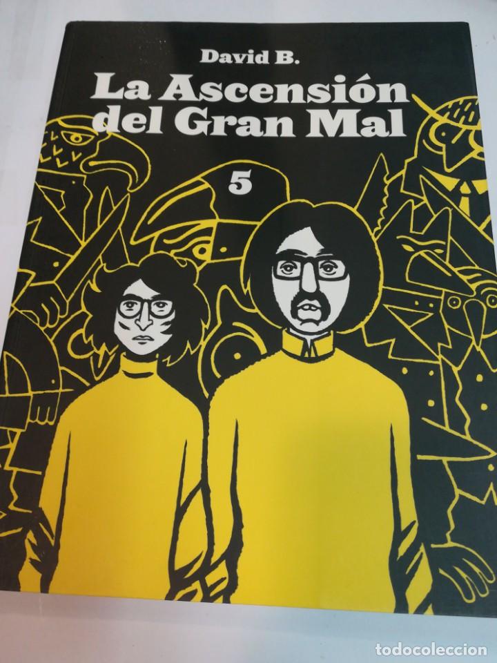 Libros: DAVID B. La ascensi&oacute;n del Gran Mal V (c&oacute;mic) S837AT - Foto 1