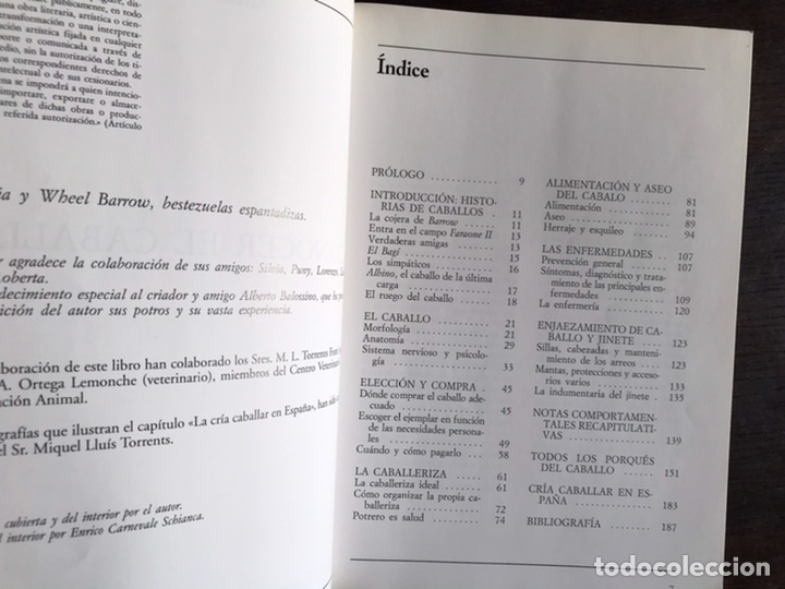 Libros: Conocer el caballo. Gianni Ravazzi - Foto 3