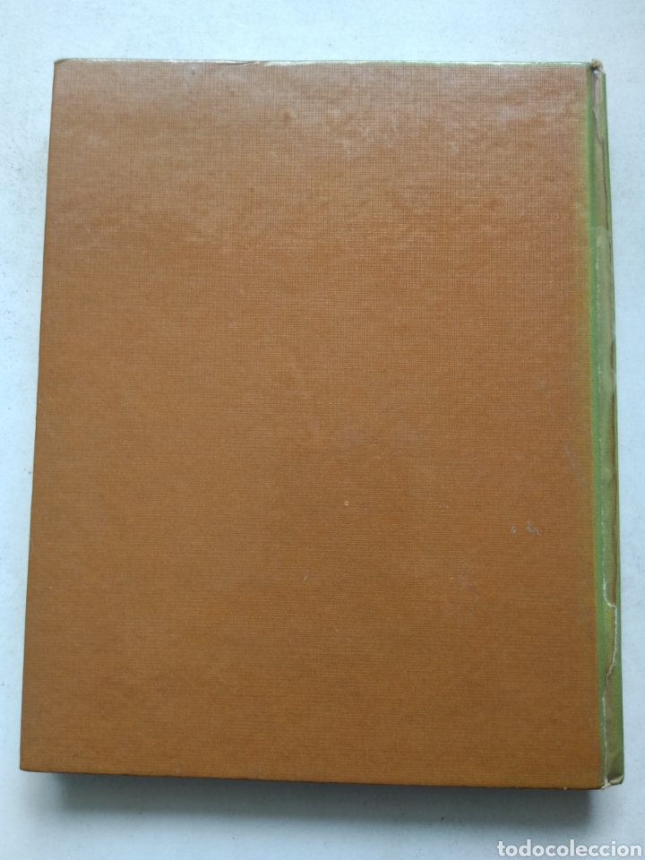 Libros: BIBLIOTECA DE LA IMAGEN/SALVAT - Foto 2