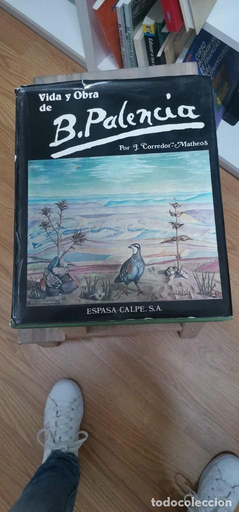 Libros: Vida y obra de B. Palencia - J. Corredor Matheos - Foto 2
