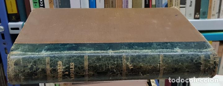 Libros: DE MADRID A NAPOLES - Pedro Antonio de Alarc&oacute;n - Foto 1