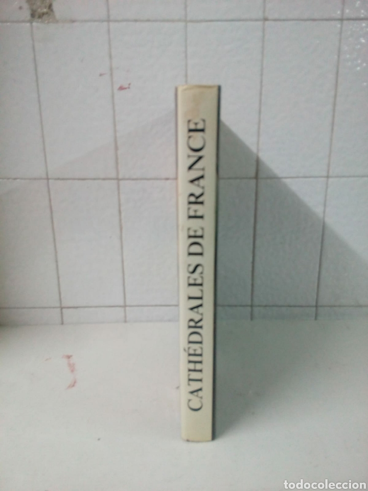 Libros: CATH&Eacute;DRALES DE FRANCE - Foto 2