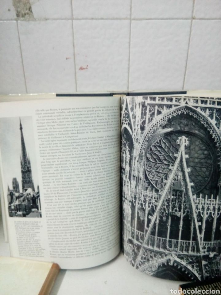 Libros: CATH&Eacute;DRALES DE FRANCE - Foto 6