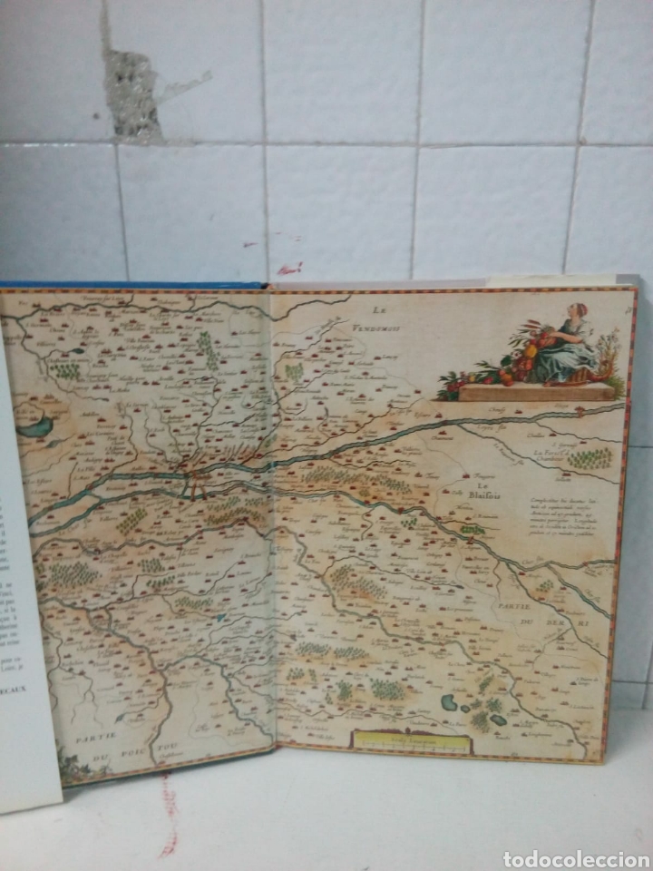 Libros: CHATEAUX DE LA LOIRE - Foto 2