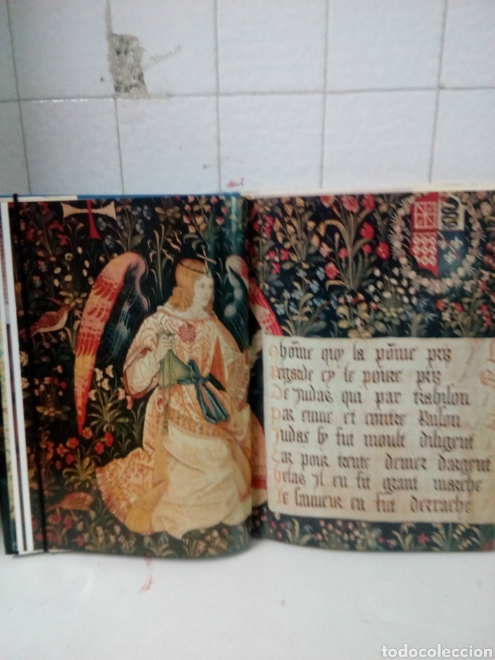 Libros: CHATEAUX DE LA LOIRE - Foto 5