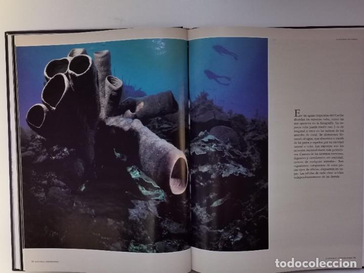 Libros: LOS REINOS DEL MAR - NATIONAL GEOGRAPHIC - Foto 4
