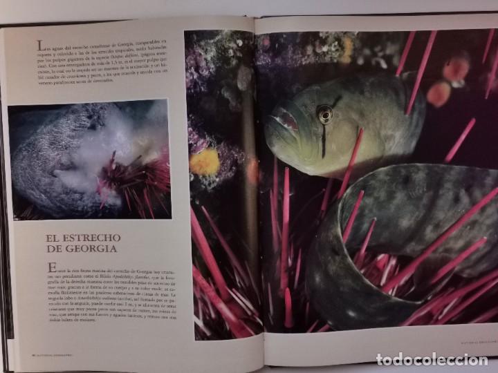 Libros: LOS REINOS DEL MAR - NATIONAL GEOGRAPHIC - Foto 5