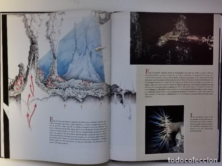 Libros: LOS REINOS DEL MAR - NATIONAL GEOGRAPHIC - Foto 6
