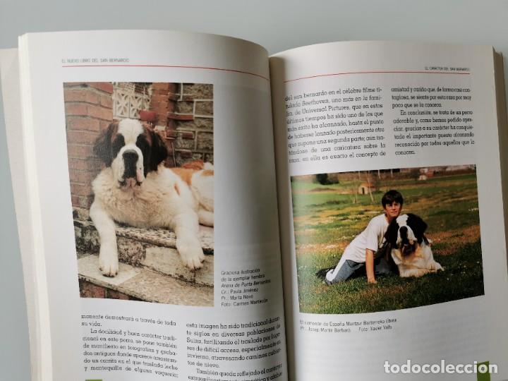 Libros: SAN BERNARDO - Foto 3