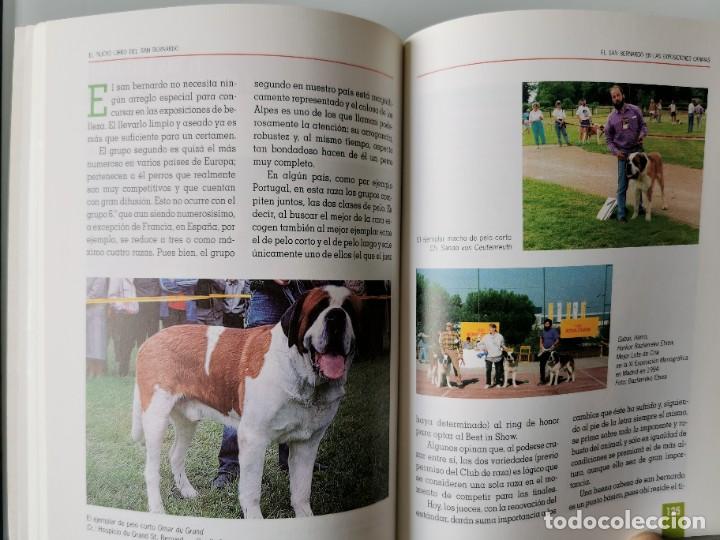 Libros: SAN BERNARDO - Foto 4