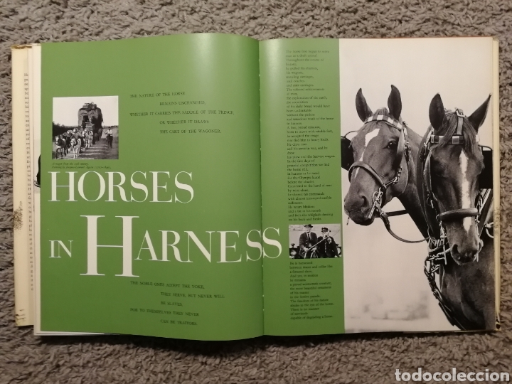 Libros: EL REINO DEL CABALLO. (EN INGL&Eacute;S) - Foto 6