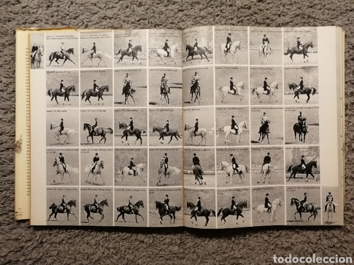 Libros: EL REINO DEL CABALLO. (EN INGL&Eacute;S) - Foto 11