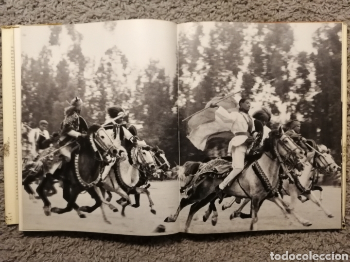 Libros: EL REINO DEL CABALLO. (EN INGL&Eacute;S) - Foto 12