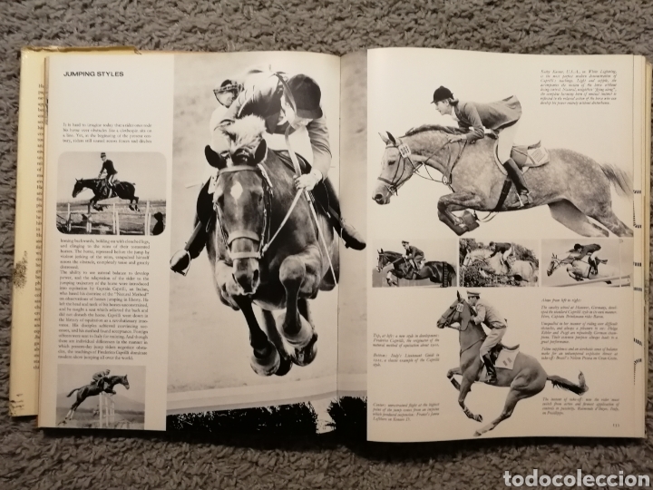 Libros: EL REINO DEL CABALLO. (EN INGL&Eacute;S) - Foto 14