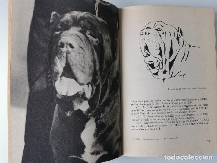 Libros: EL MASTIN NAPOLITANO - Foto 3