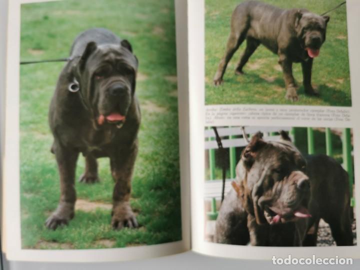 Libros: EL MASTIN NAPOLITANO - Foto 4