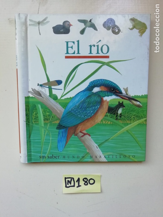 Libros: El r&iacute;o - Foto 1