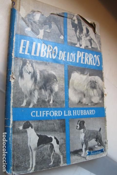 Libros: EL LIBRO DE LOS PERROS. CLIFFORD L.B. HUBBARD - Foto 1