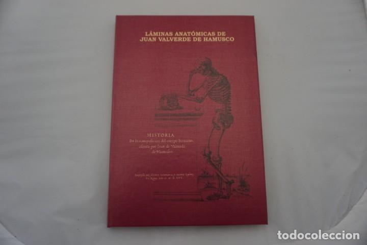 Libros: 6D/ LAMINAS ANATOMICAS DE JUAN VALVERDE DE HAMUSCO - Foto 1