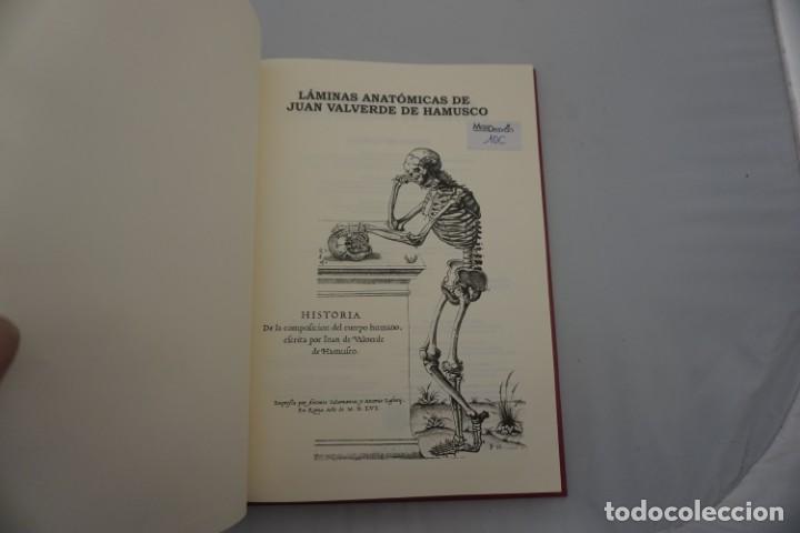 Libros: 6D/ LAMINAS ANATOMICAS DE JUAN VALVERDE DE HAMUSCO - Foto 3