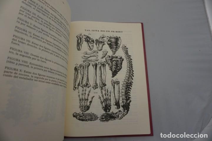 Libros: 6D/ LAMINAS ANATOMICAS DE JUAN VALVERDE DE HAMUSCO - Foto 4