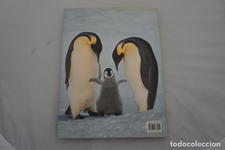 Libros: 6-0/ PINGUINO - LATING / TASCHEN - Foto 5