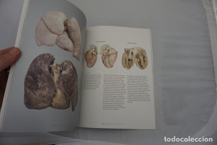 Libros: 6-0/ BODIES - THE EXHIBITION - EDICION EN ESPA&Ntilde;OL - Foto 4