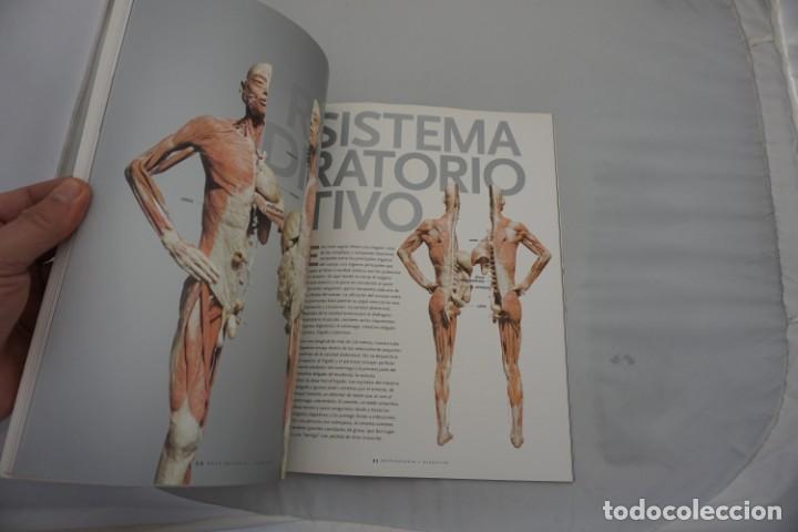 Libros: 6-0/ BODIES - THE EXHIBITION - EDICION EN ESPA&Ntilde;OL - Foto 5