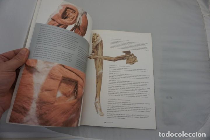 Libros: 6-0/ BODIES - THE EXHIBITION - EDICION EN ESPA&Ntilde;OL - Foto 6