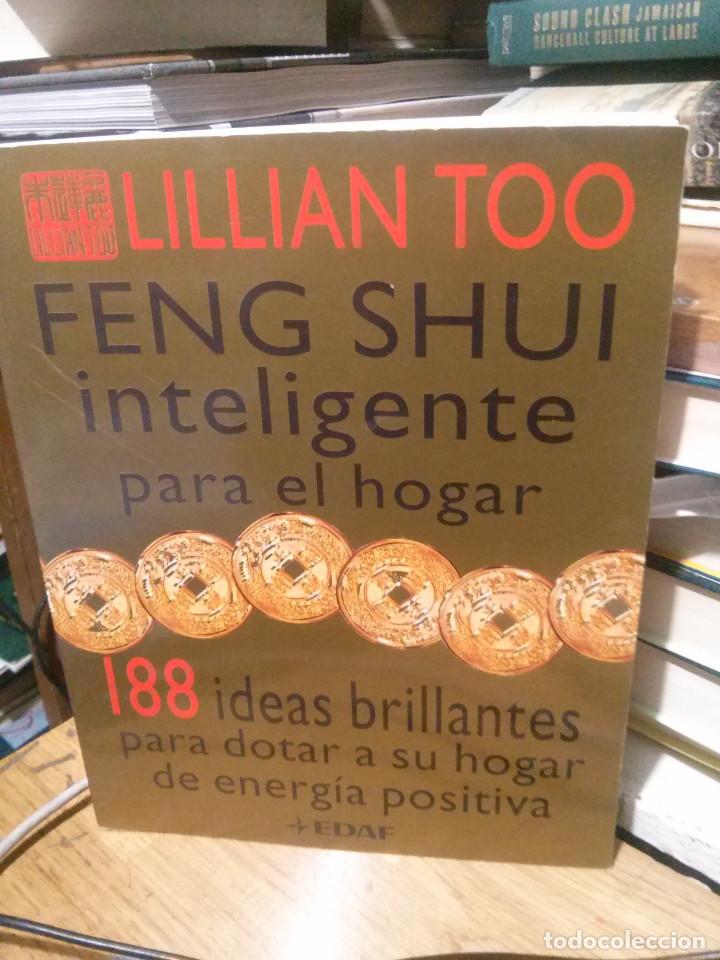 Libros: LLIAN TOO, 188 IDEAS BRILLANTES, ED. EDAF - Foto 1