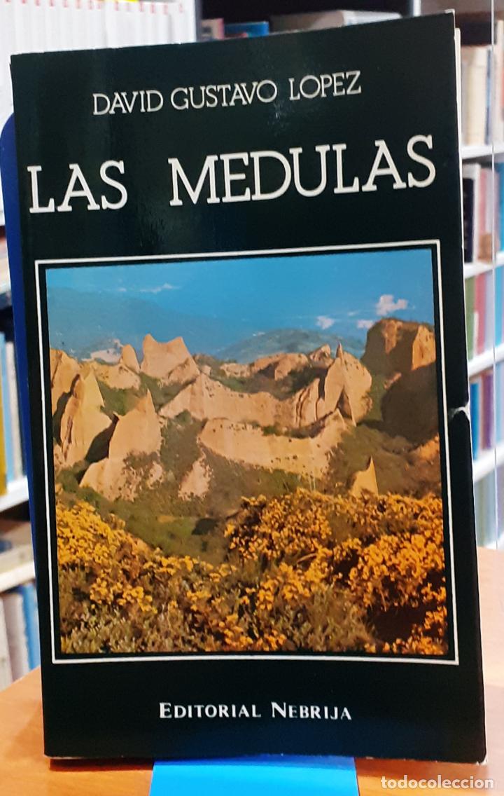 Libros: Las M&eacute;dulas - GUSTAVO L&Oacute;PEZ, DAVID - Foto 1