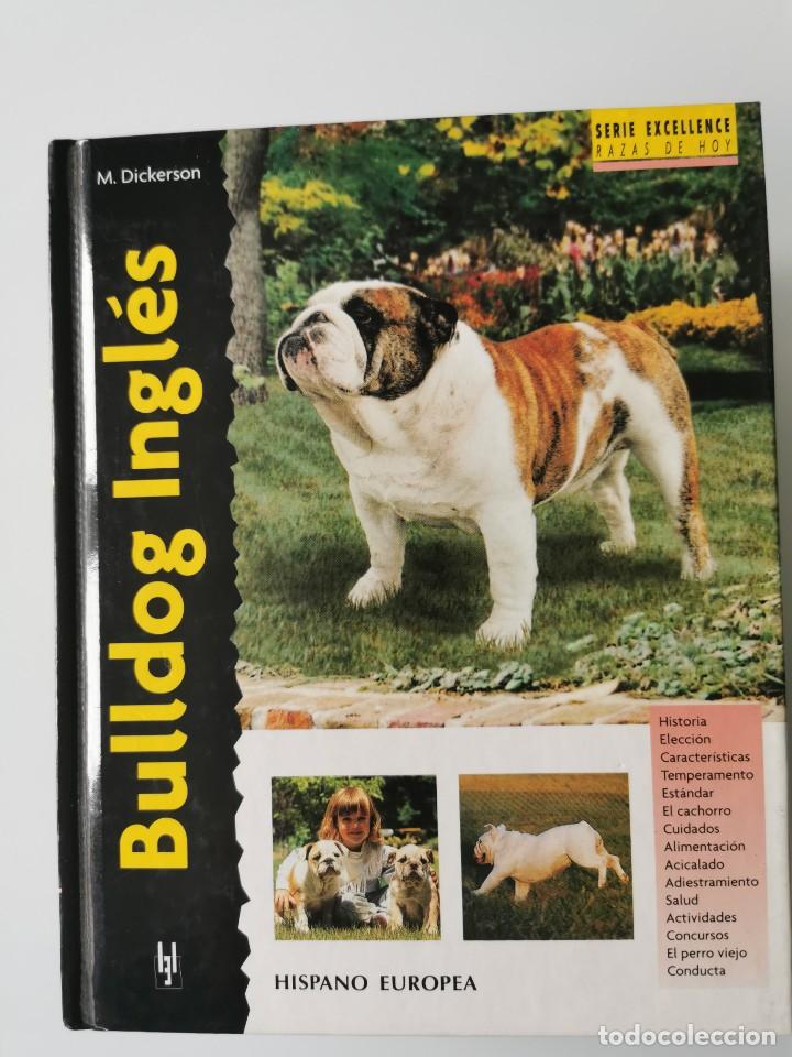 Libros: BULLDOG INGLES - Foto 1