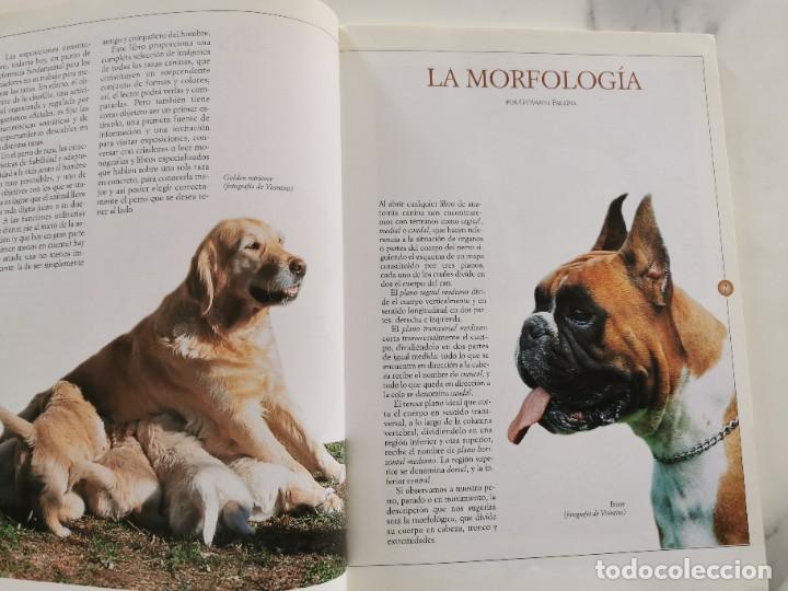 Libros: RAZAS CANINAS, GUIA VISUAL - Foto 3
